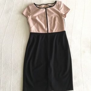 Ann Taylor Rose Gold and Black Dress